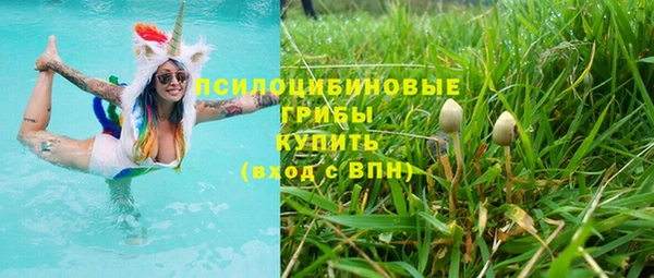 дживик Алексин