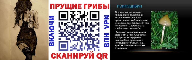 Галлюциногенные грибы прущие грибы  купить   KRAKEN ссылки  Одинцово 